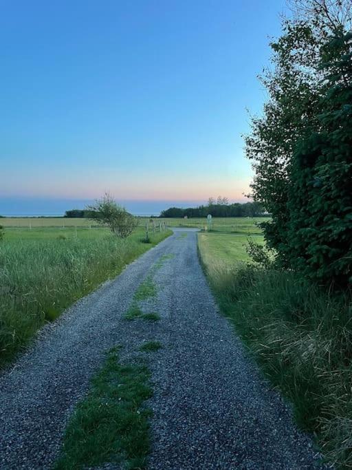 Seaside House In A Old Farm Near Falkenberg, 500M To Beach Exterior foto